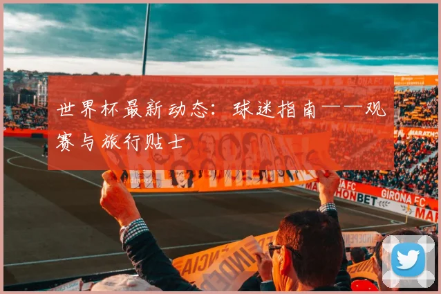 世界杯最新动态:球迷指南——观赛与旅行贴士